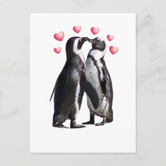 Carte Postale Pingouin Romance (Devant)