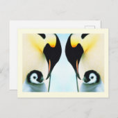 Carte Postale Pingouins (Devant / Derrière)