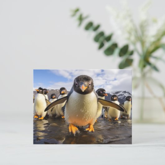 Carte Postale Pingouins cool (Debout devant)
