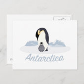Carte Postale Pingouins de l'Antarctique (Devant / Derrière)