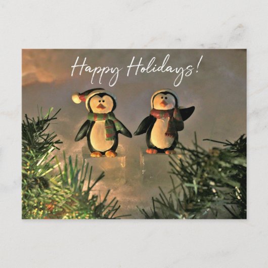Carte Postale Pingouins de vacances (Devant)