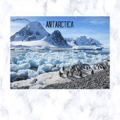 Carte Postale Pingouins sur Pourquoi Pas Island Antarctique