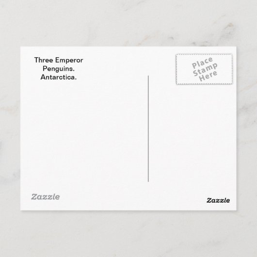 Carte Postale Pingouins trois (Dos)