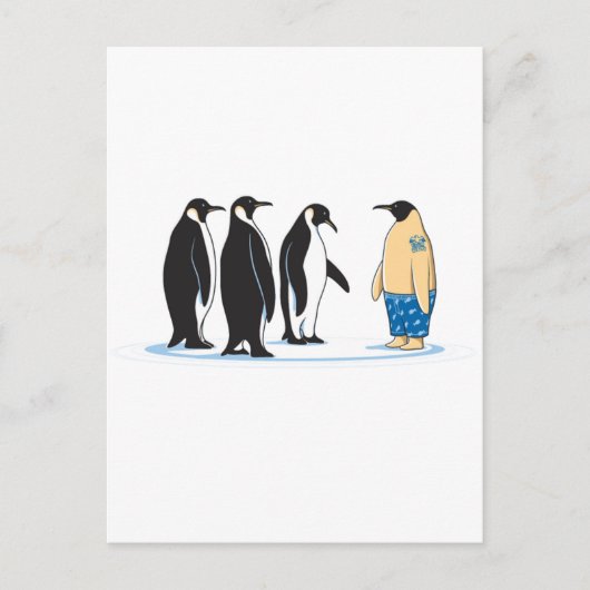 Carte Postale Pinguim (Devant)