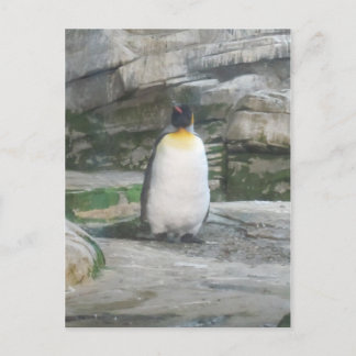 Carte Postale Pinguin