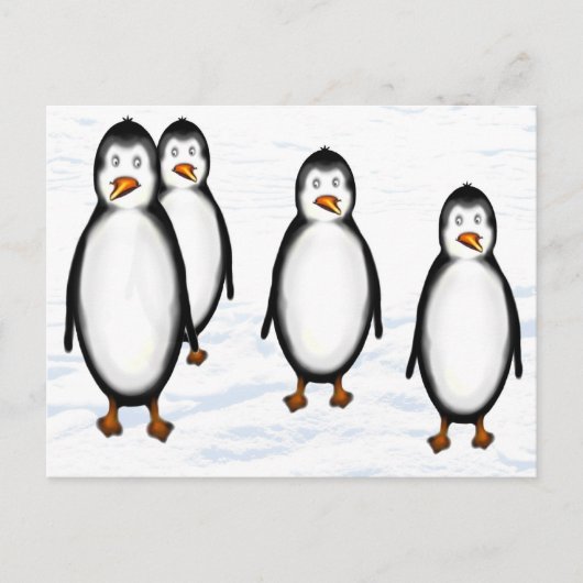 Carte Postale Pinguine (Devant)