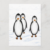 Carte Postale Pinguine (Devant)