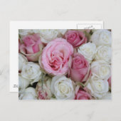 Carte Postale pink and white roses by therosegarden (Devant / Derrière)