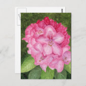 Carte postale Pink Azalea Art (Devant / Derrière)