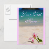 Carte postale Pink Beach Lily (Devant / Derrière)