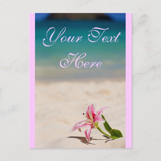 Carte postale Pink Beach Lily (Devant)
