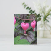 Carte Postale Pink Bleeding (Debout devant)