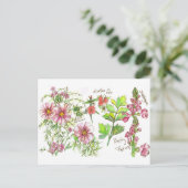 Carte Postale Pink Cosmos Snapdragon Flowers croquis (Debout devant)