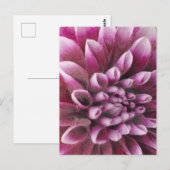 Carte Postale Pink Dahlia (Devant / Derrière)
