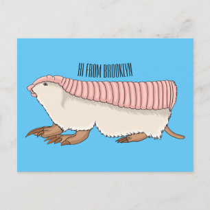 Carte Postale Pink fairy armadillo