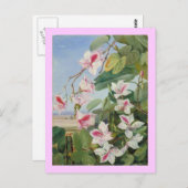 Carte Postale Pink Floral Spring Party Douche Paix Amour Destiny (Devant / Derrière)