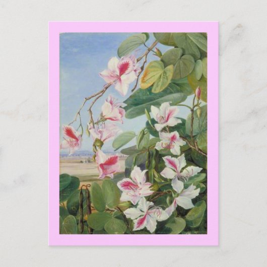 Carte Postale Pink Floral Spring Party Douche Paix Amour Destiny (Devant)