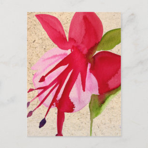 Carte Postale Pink Fuchsia