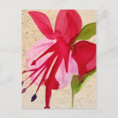 Carte Postale Pink Fuchsia (Devant)