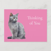 Carte Postale Pink Grey Chat Pensez à vous (Devant)