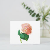 Carte Postale Pink Hydrangea par Pierre Joseph Redoute (Debout devant)