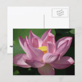 Carte Postale Pink Lotus Flower IV (Devant / Derrière)