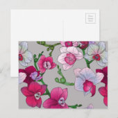 Carte Postale Pink Orchids (Devant / Derrière)
