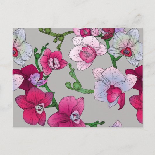 Carte Postale Pink Orchids (Devant)