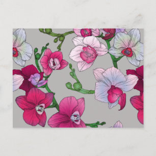 Carte Postale Pink Orchids