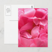 Carte postale Pink Peony (Devant / Derrière)