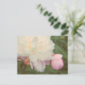 Carte postale Pink Peony Flower (Debout devant)