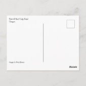 Carte Postale Pink & Red Tulip Field, Oregon (Dos)