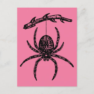 Carte postale Pink Spider
