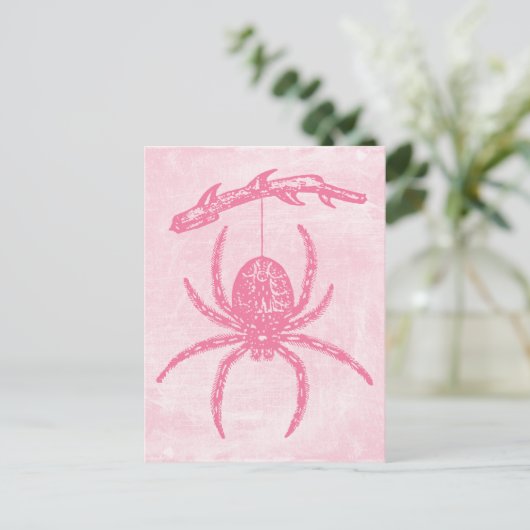 Carte postale Pink Spider (Debout devant)