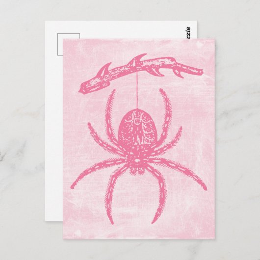 Carte postale Pink Spider (Devant / Derrière)