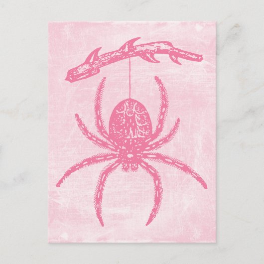 Carte postale Pink Spider (Devant)