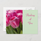 Carte Postale Pink Tulip Portrait Penser à vous (Devant / Derrière)