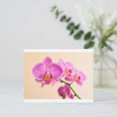 Carte Postale Pinke Orchidee (Debout devant)