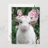 Carte postale "Pinky" (Devant / Derrière)