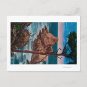 Carte Postale Pinnacle Point, Point Lobas State Park (Devant)