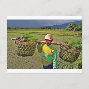 Carte Postale Pinoy1.jpg