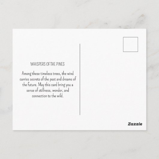 Carte Postale Pins à feuillage persistant Paysage forestier Vint (Dos)