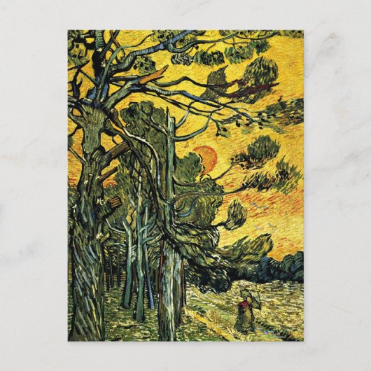 Carte Postale Pins contre un ciel rouge (Devant)