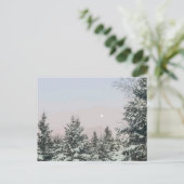 Carte Postale Pins couverts de neige Coucher de soleil sur la lu (Debout devant)