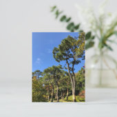 Carte Postale Pins dans le ciel d'automne (Debout devant)