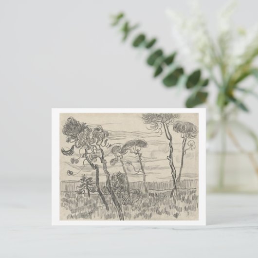 Carte Postale Pins devant le mur Asile, Vincent van Gogh (Debout devant)