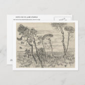 Carte Postale Pins devant le mur Asile, Vincent van Gogh (Devant / Derrière)
