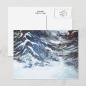 Carte postale "Pins d'hiver #1" (Devant / Derrière)