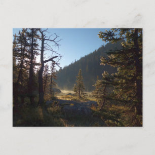 Carte Postale Pins gelés éclairés au soleil au lac Dream