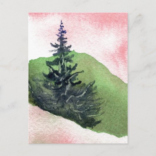 Carte postale "Pins simples" (Devant)